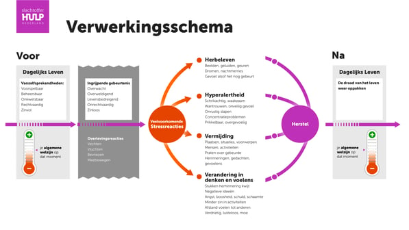 Model verwerkingsschema