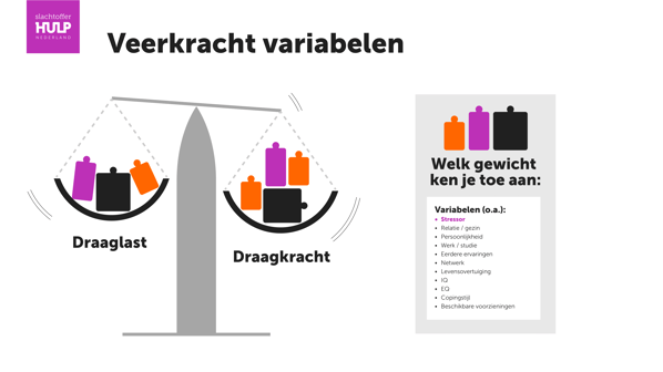 Model verwerkingsschema veerkracht